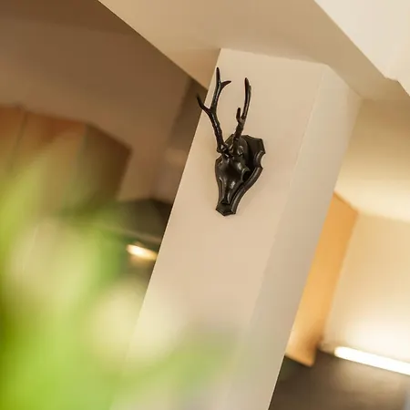 Apartamento Centro 7 - Kristall Lungau *